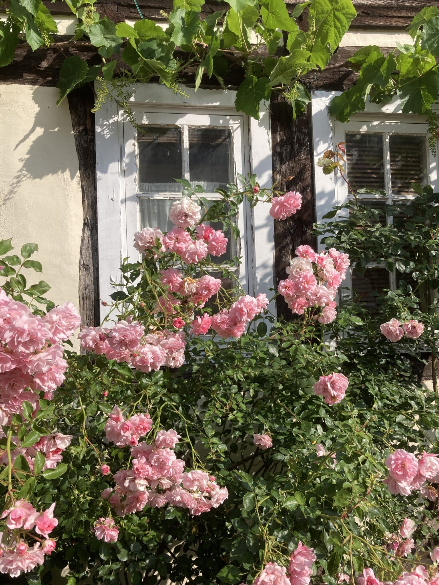 Stadtradel-Tour des BUND - Naturnahe Gärten erkunden