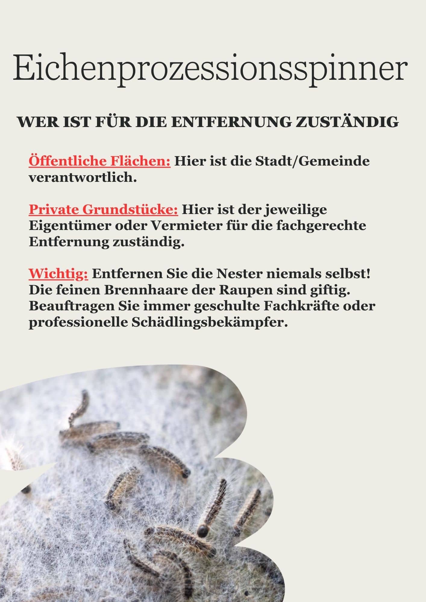 EPS-Wer-ist-fuer-die-Entfernung-zustaendig.jpg